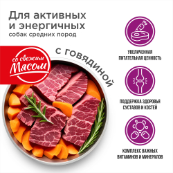 Корм сухой для взрослых собак средних пород, премиум полнорационный комплекс, для активных и энергичных, с говядиной, 12 кг, QUATTRO