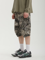 Мужские Шорты Siera Moth Print