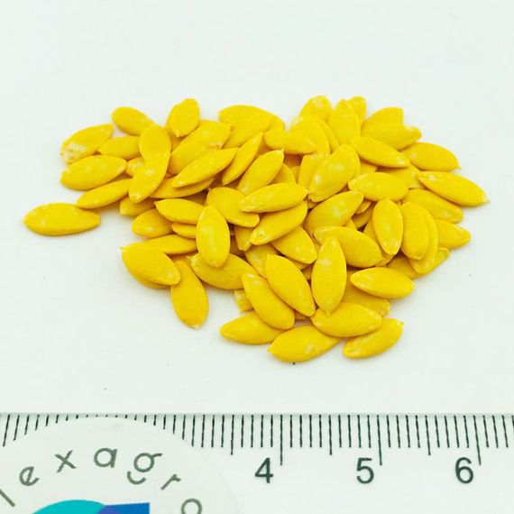 СИГУРД F1 семена огурца Enza Zaden семена