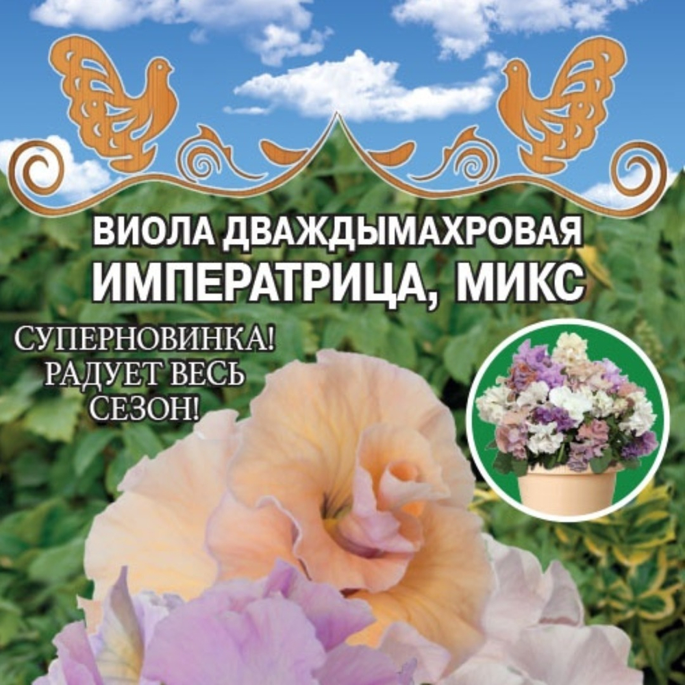 Виола дважды махровая императрица F1, Микс