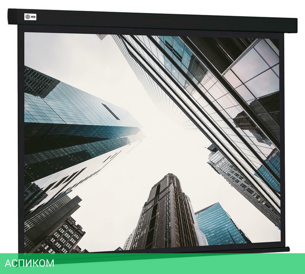 Проекционный экран Cactus CS-PSW-124X221-BK черный