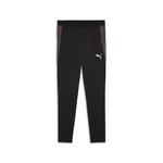 Мужские брюки PUMA individualFINAL TRG Pants