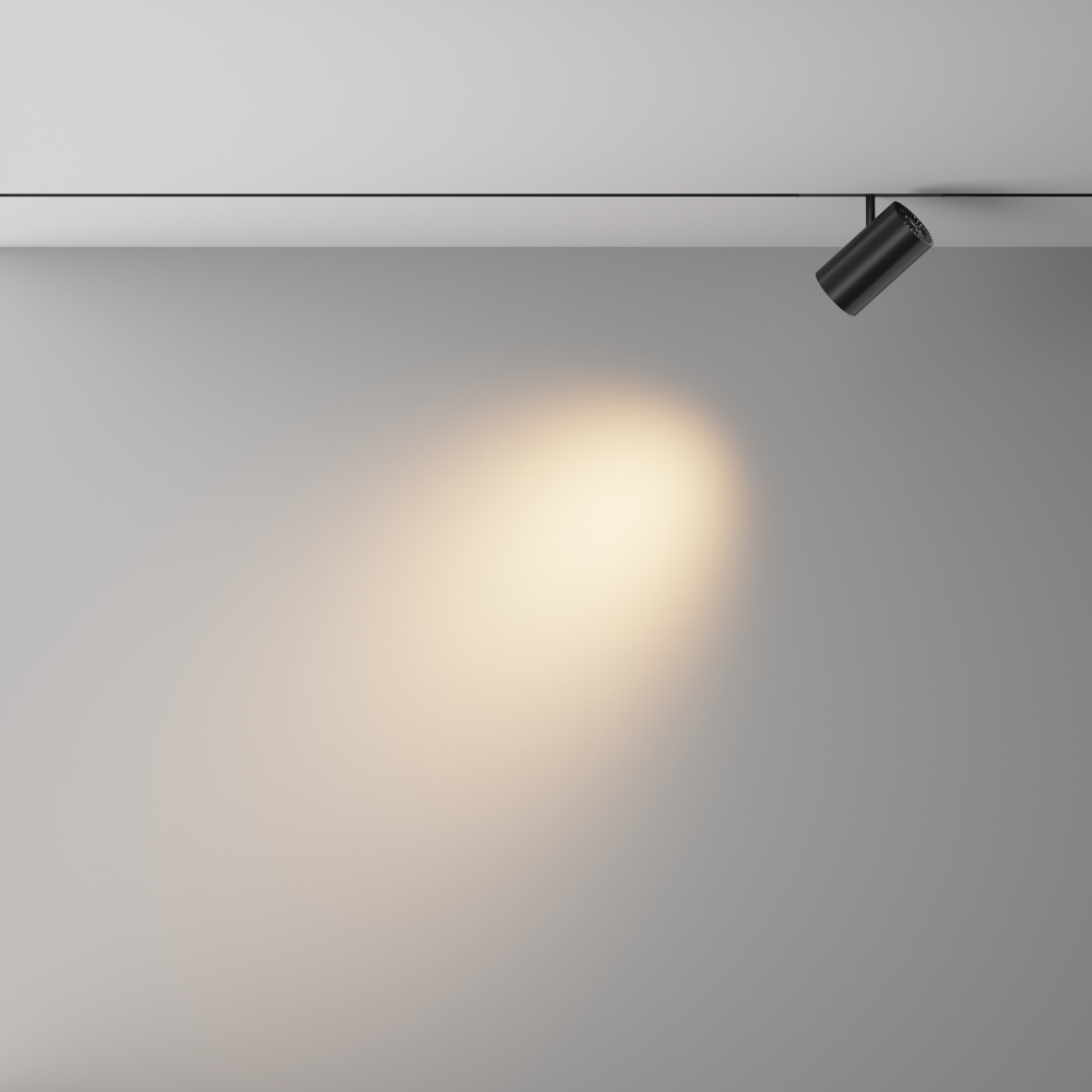 Трековый светодиодный светильник Maytoni Exility X Focus Led TR243-18W3K-B