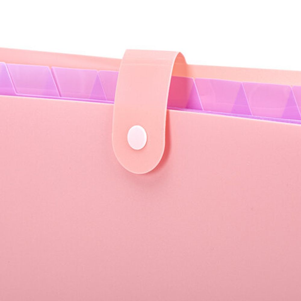 Папка-органайзер на кнопке 12 отделений, BRAUBERG "Extra", А4, персиковая с лавандовым, 271931