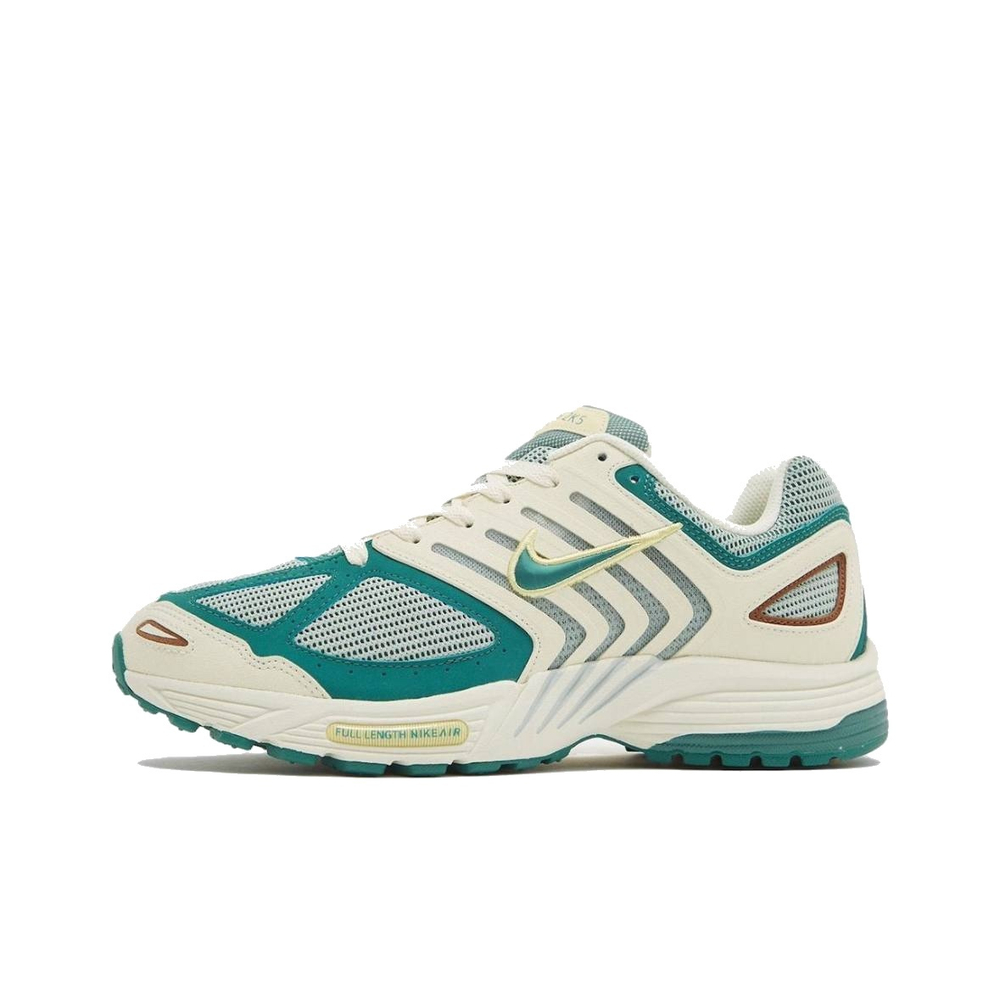 Nike Air Pegasus 2005