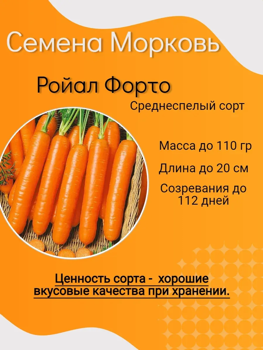 Семена Морковь