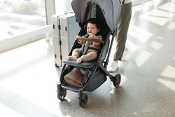 Прогулочная коляска UPPAbaby MINU V2 Greyson