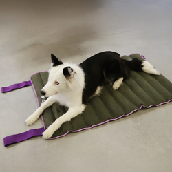 Лежак Air.Mat Zee.Dog