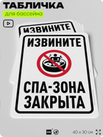 Табличка для бассейна "Извините, спа-зона закрыта", на пляж, для общественной и частной зоны отдыха, информационная, 40х30 см, Silver Plane x Айдентика Технолоджи