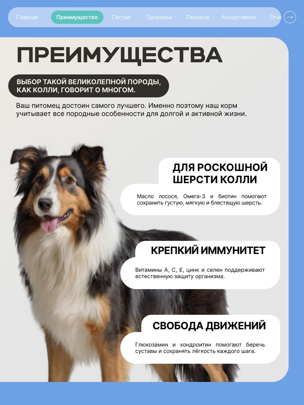 Корм для взрослых собак породы Колли, с кроликом, 12 кг, QUATTRO
