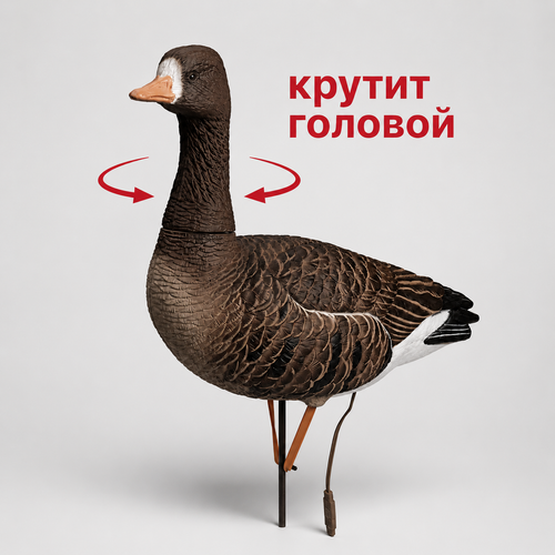 Белолобый гусь Duck Mania "ELITE ROBOT"