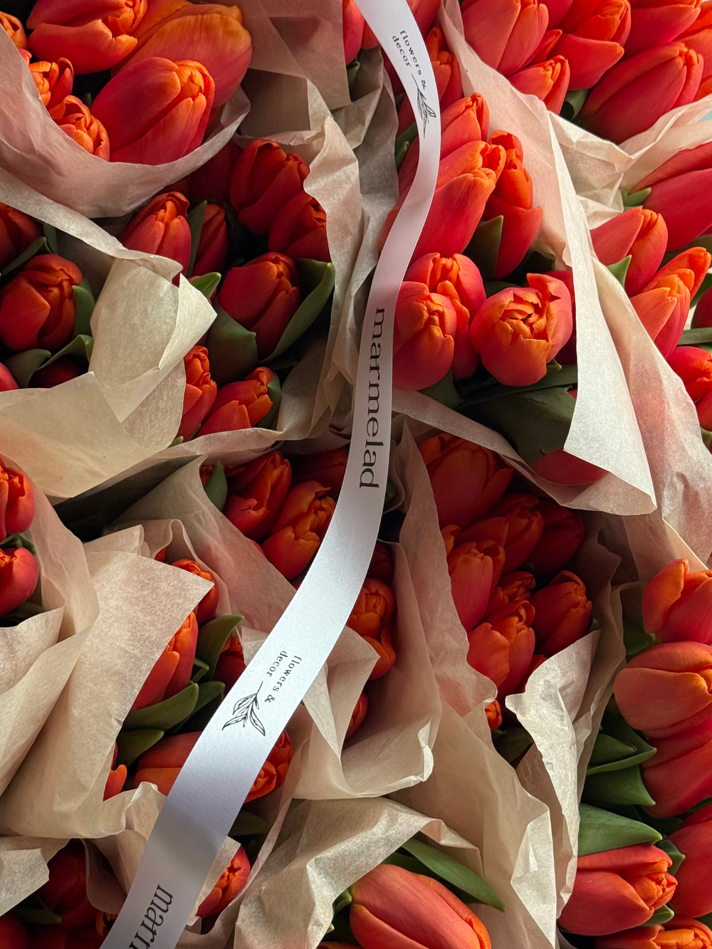 Тюльпаны классика - оранжевый цвет