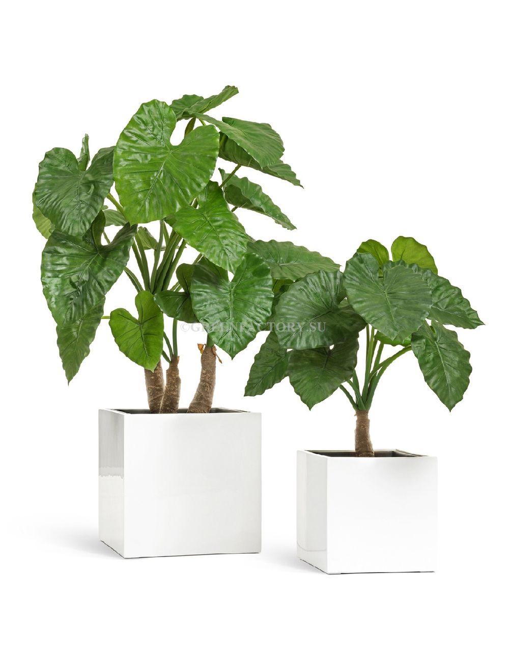 Кашпо TREEZ Effectory - серия Gloss - Куб - Белый глянцевый лак