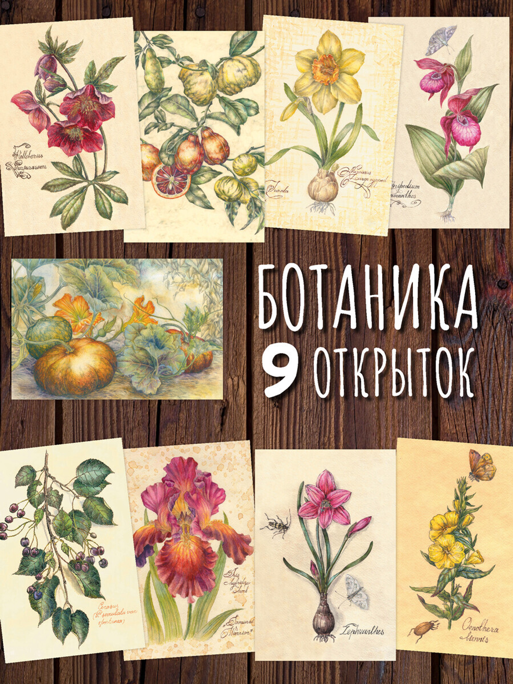 Ботаника. 9 открыток