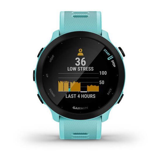 Часы для бега Garmin Forerunner 55 бирюзовые 010-02562-12