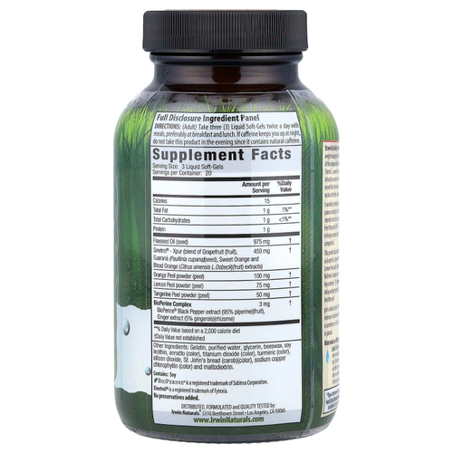 Irwin Naturals, Stored-Fat Belly Burner®, 60 желатиновых капсул