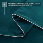 Комплект постельного белья Однотонный Сатин Премиум на резинке OCPR007