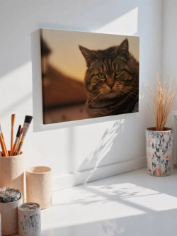 Картина на стену 40 X 50 Кот