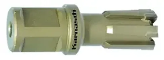 Магнитный грузозахват Tecnomagnete MaxX 125