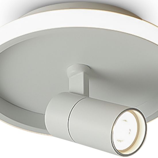 Потолочный светильник Freya FR6040CL-L14W