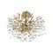 Подвесная люстра Loft IT Coral 10351/460C AB