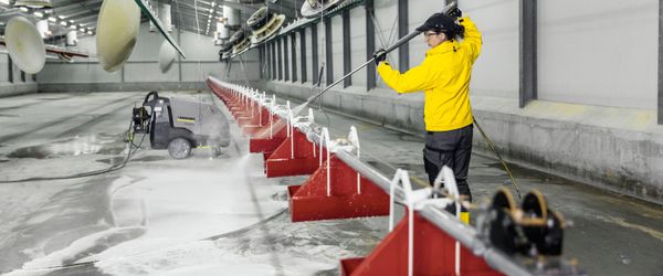 Уборка в птичниках