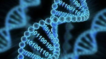 Компьютер на ДНК впервые одновременно хранил данные и решал судоку