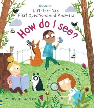 Very First Questions & Answers: How Do I See? (board book)