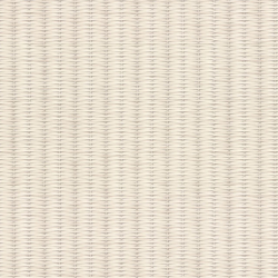 Обои виниловые TC72456-12 TREND Nature PALITRA TREND фоновые, размер 1,06х10 м