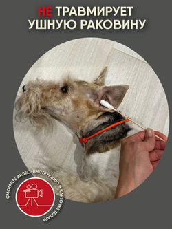 Ватные палочки для собак средних и крупных пород Монморанси, 15см