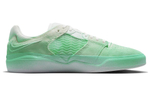 Кроссовки Nike Sb Ishod