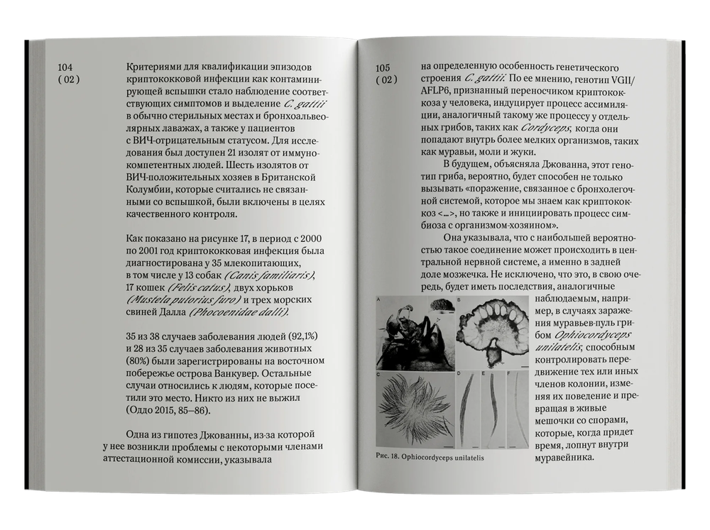 Обширная территория