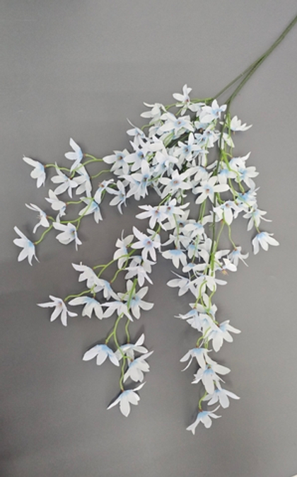 Сакура Звёздочка / Арт 1171