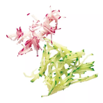 Диск-соломка Robot Coupe 27599 2x2 мм CL30