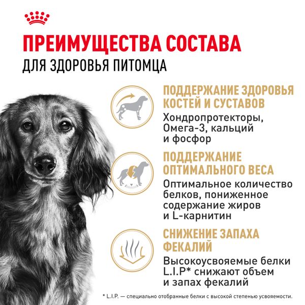 Сухой корм Royal Canin Dachshund Adult для взрослых собак породы Такса от 10 месяцев
