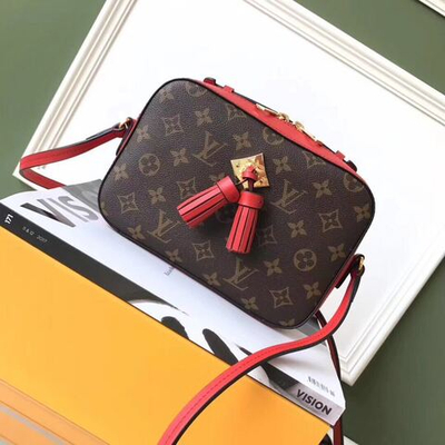 Louis Vuitton Saintonge