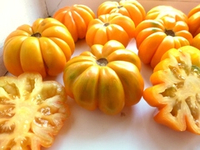 Помидоры Beauty Lottringa Оrange - Лотарингская Красавица Оранжевая