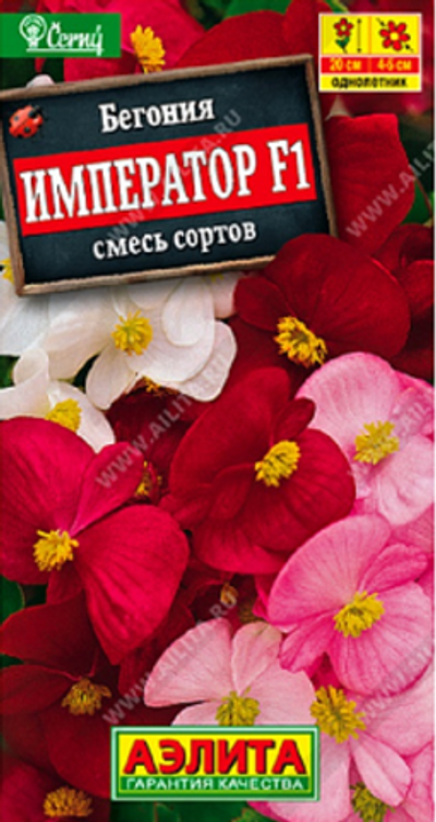 Бегония вечноцветущая Император, смесь окрасок F1