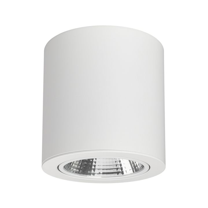 Потолочный светодиодный светильник Arlight SP-Focus-R140-30W Day White 021428