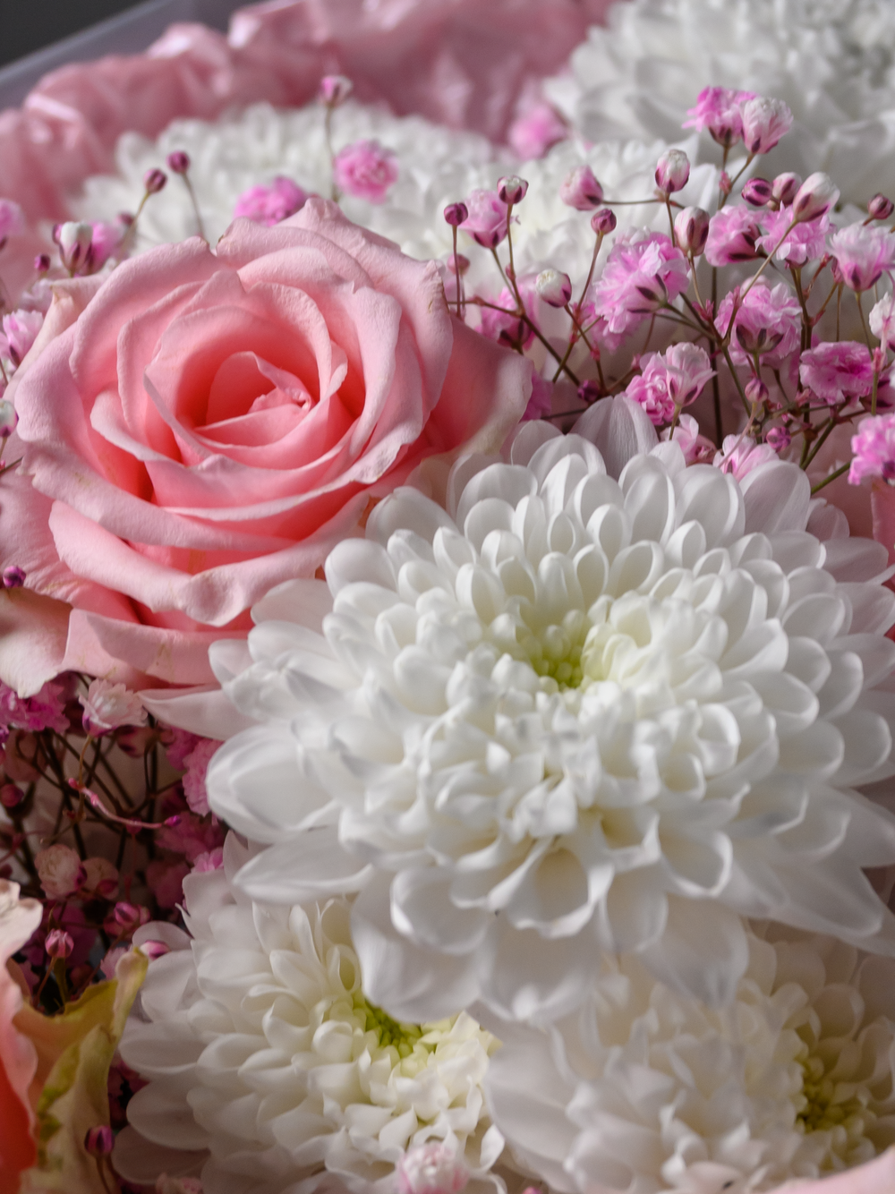 Нежные мечты *