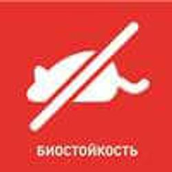 РОКВУЛ АКУСТИК БАТТС 50мм