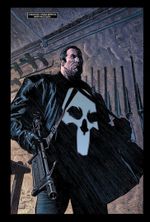 Комикс Каратель. В начале. Том 1