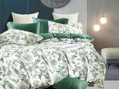 Постельное белье Египетский хлопок  Asabella 1912