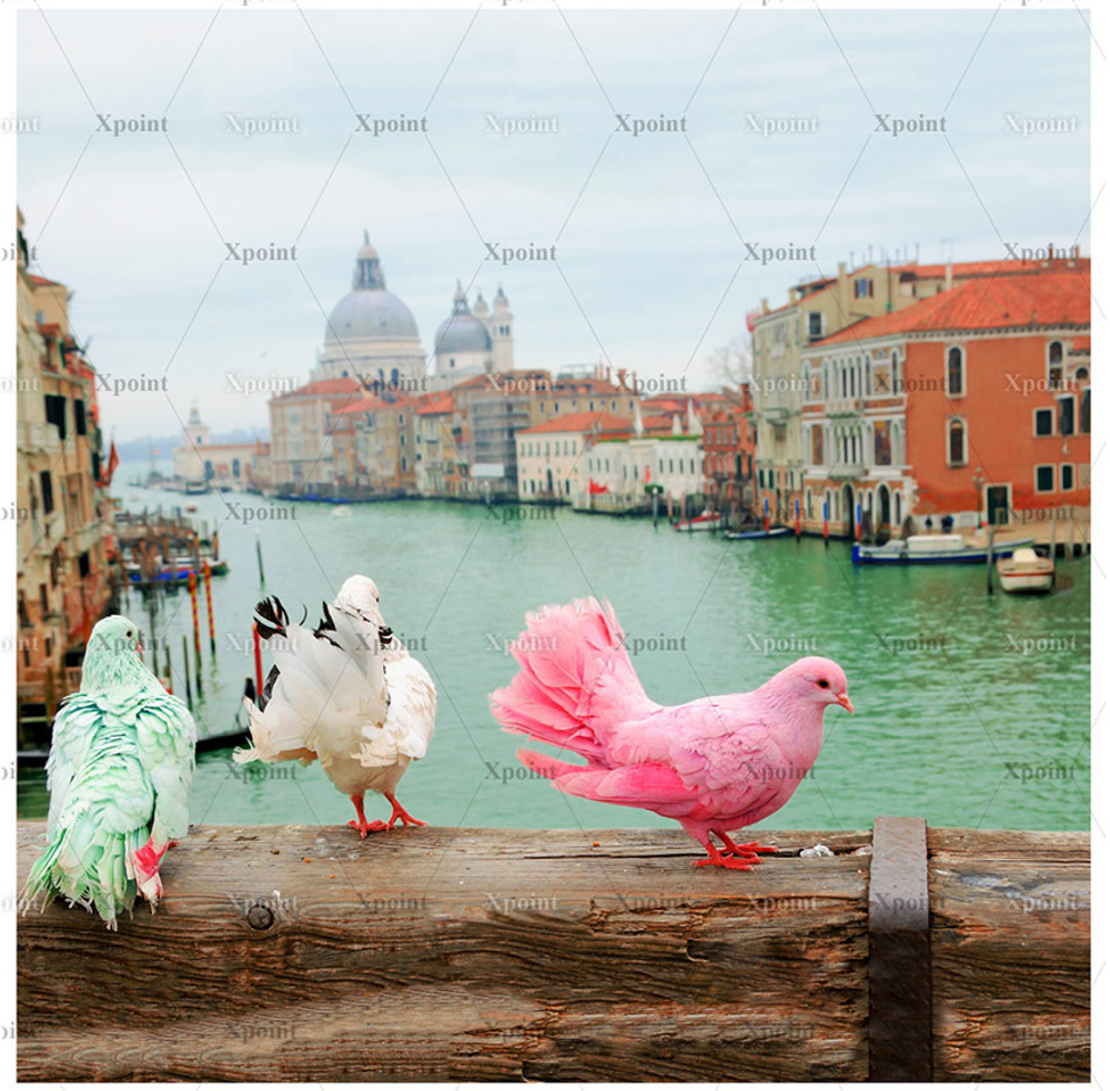 Микровелюр Xpoint (Икспоинт) 0027.01 Голуби