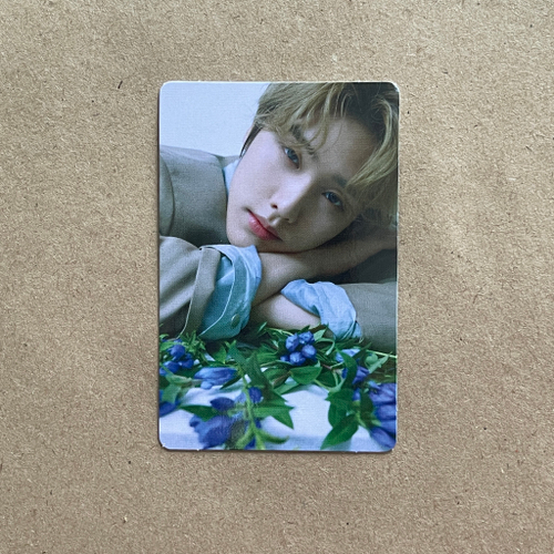 ОФ КАРТА / THE BOYZ / Джейкоб [dtc]