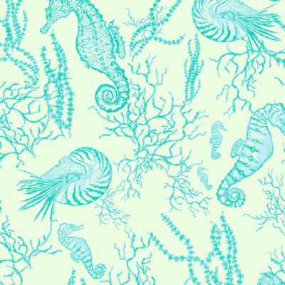 Морские коньки и наутилусы