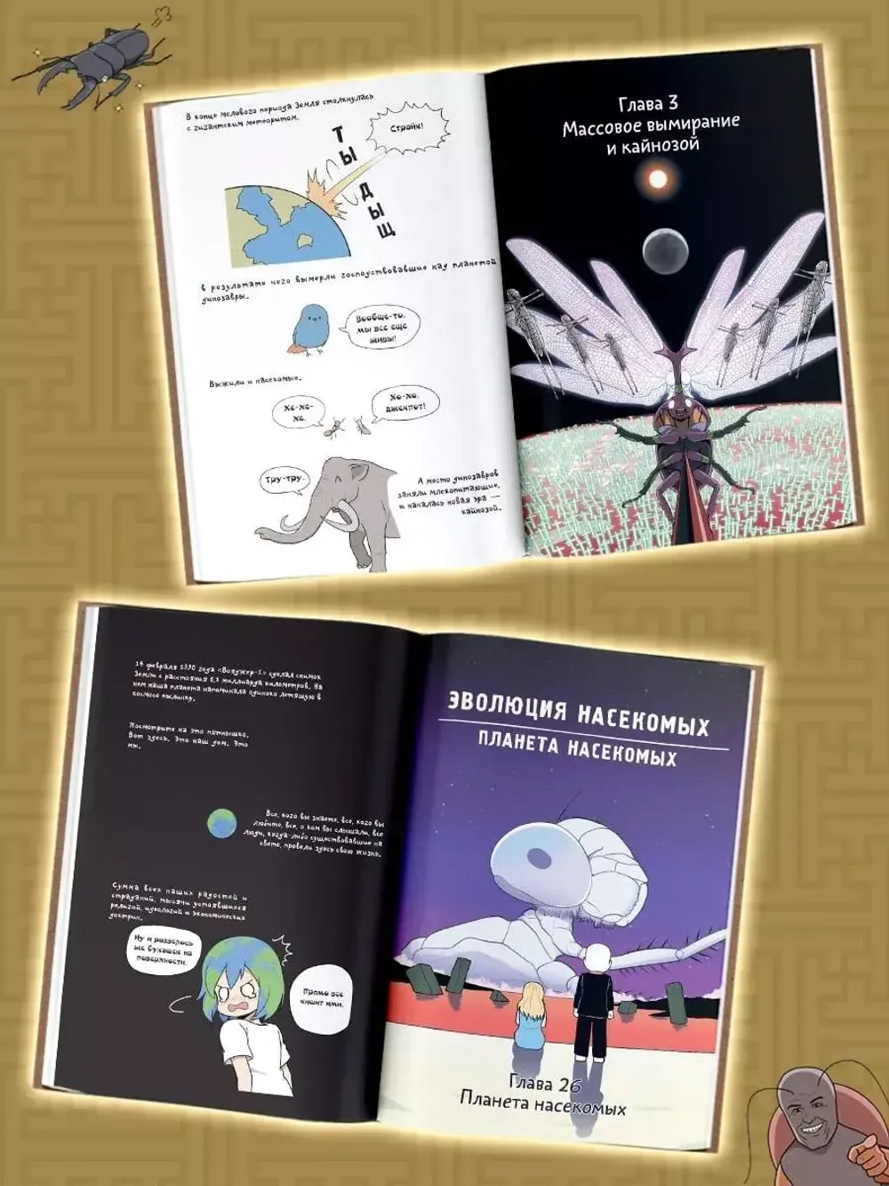 Фантастическая эволюция насекомых