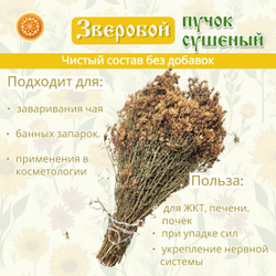 Зверобой пучок.