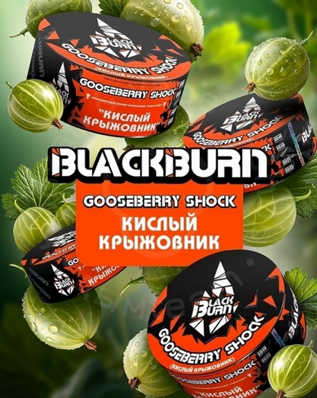 BlackBurn Gooseberry Shock (Кислый крыжовник), 25г.