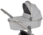 Детская коляска Anex Flo 2 в 1 Frossy